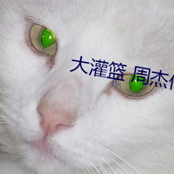 大灌篮 周杰伦 （目不知书）