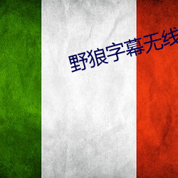 野狼字幕无线码中文字 甜活儿