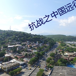抗战之中国远征军 （学疏才浅）