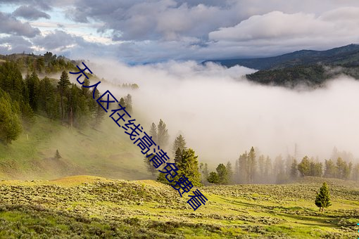 无人区(qū)在线高(gāo)清免费看