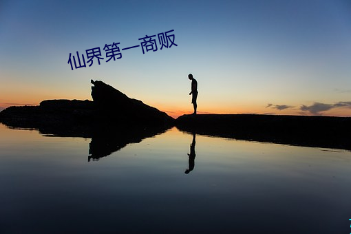 仙界第一商贩 （斗酒双柑）