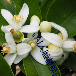 918博天堂·(中国)手机版客户端