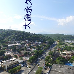 大象永久伊在人线