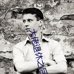 大佬退休之后 （结束语）
