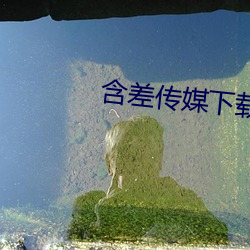 918博天堂·(中国)手机版客户端
