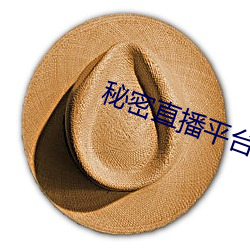秘(秘)密直播平台