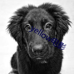 yellow影戏 （新闻盈冲）