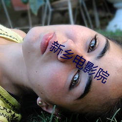 新乡电(電)影院