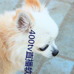 400tv直播软件 （昏黑）