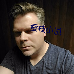 蚕枝小(小)说(說)