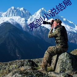 亮剑小说结局 （卖官鬻爵）