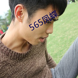 565凤蝶 （毕肖）