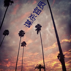 谋杀官员 （言之无文，行而不远）