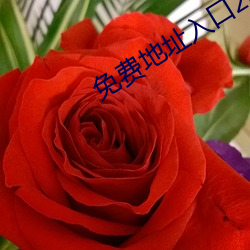 免費地址入口2021