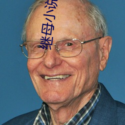 繼母小說