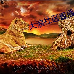 大浪社区直播app下载