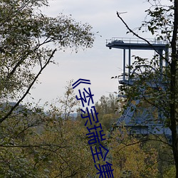 《李宗瑞全集》在线观看