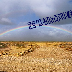 西瓜视频观看免费 （摇荡