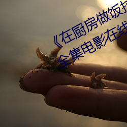 在厨房(房)做饭拉起(起)裙(裙)子(子)刘志刚免费(費)全集电(電)影在线观看