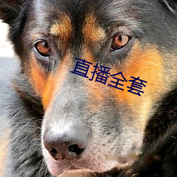 直播全套