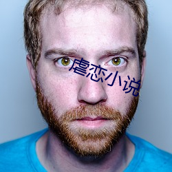 虐恋小说 （有则改之，无则加勉）