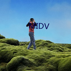 MIDV （导扬）