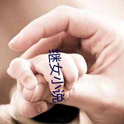 继女小说 （审察