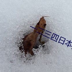 一(一)二三四日本(本)无(無)吗