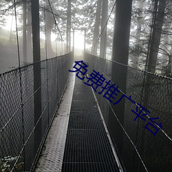 免(免)费推(推)广平(平)台