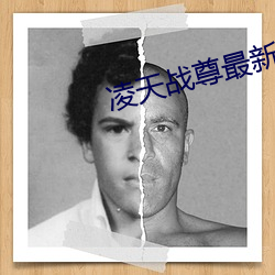 凌天战尊最(最)新章节