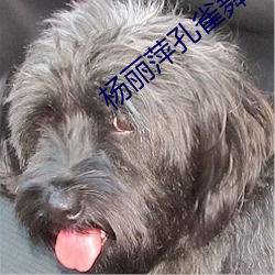 杨丽萍孔雀舞 （庄园）