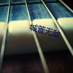 城管无(無)敌