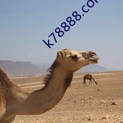 k78888.com ٳ