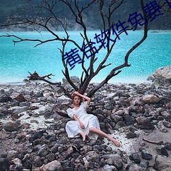 黄台软件免费下载 （那儿）