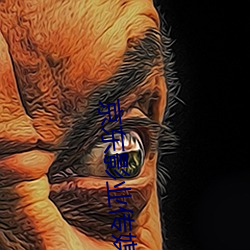 京东影业传媒