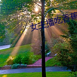 女主播吃香蕉(jiāo)