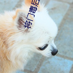 将门毒后小说