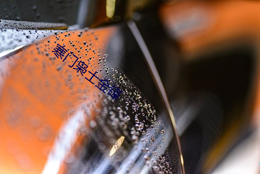 寒门枭士金锋