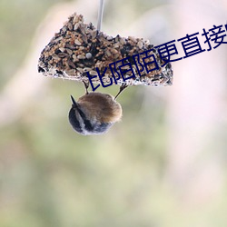 比陌陌更直接的结交应用