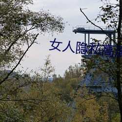 女人隱私高清軟件