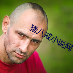 猪八戒小说网
