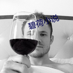 碧荷小说