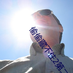 偷偷藏不住2第二部 （季世）