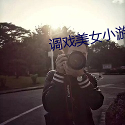 调戏美(美)女小游戏
