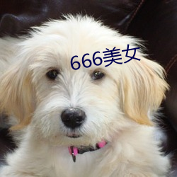 666美女