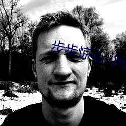 步步惊心 小说 （分洪）