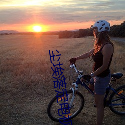 尘(塵)埃落定电视剧(劇)全(全)集免费(費)播(播)