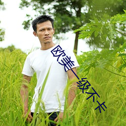 欧美(美)一(一)级不卡(卡)