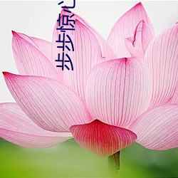 步步惊心(心)小(小)说(說)