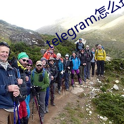 telegram怎么找盘口